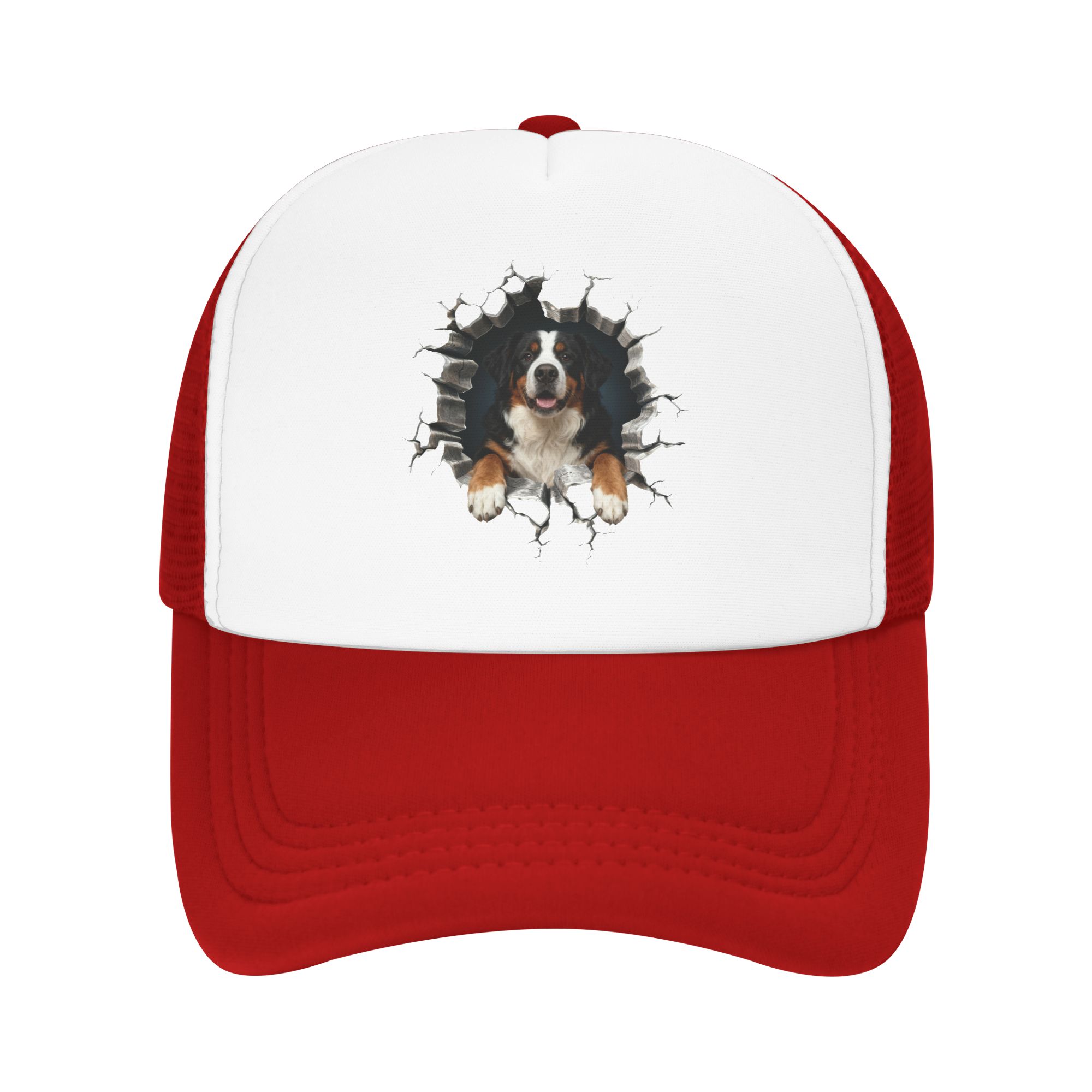 Breaking Through Bernese Mount - Trucker Hat Cap 评论和价格