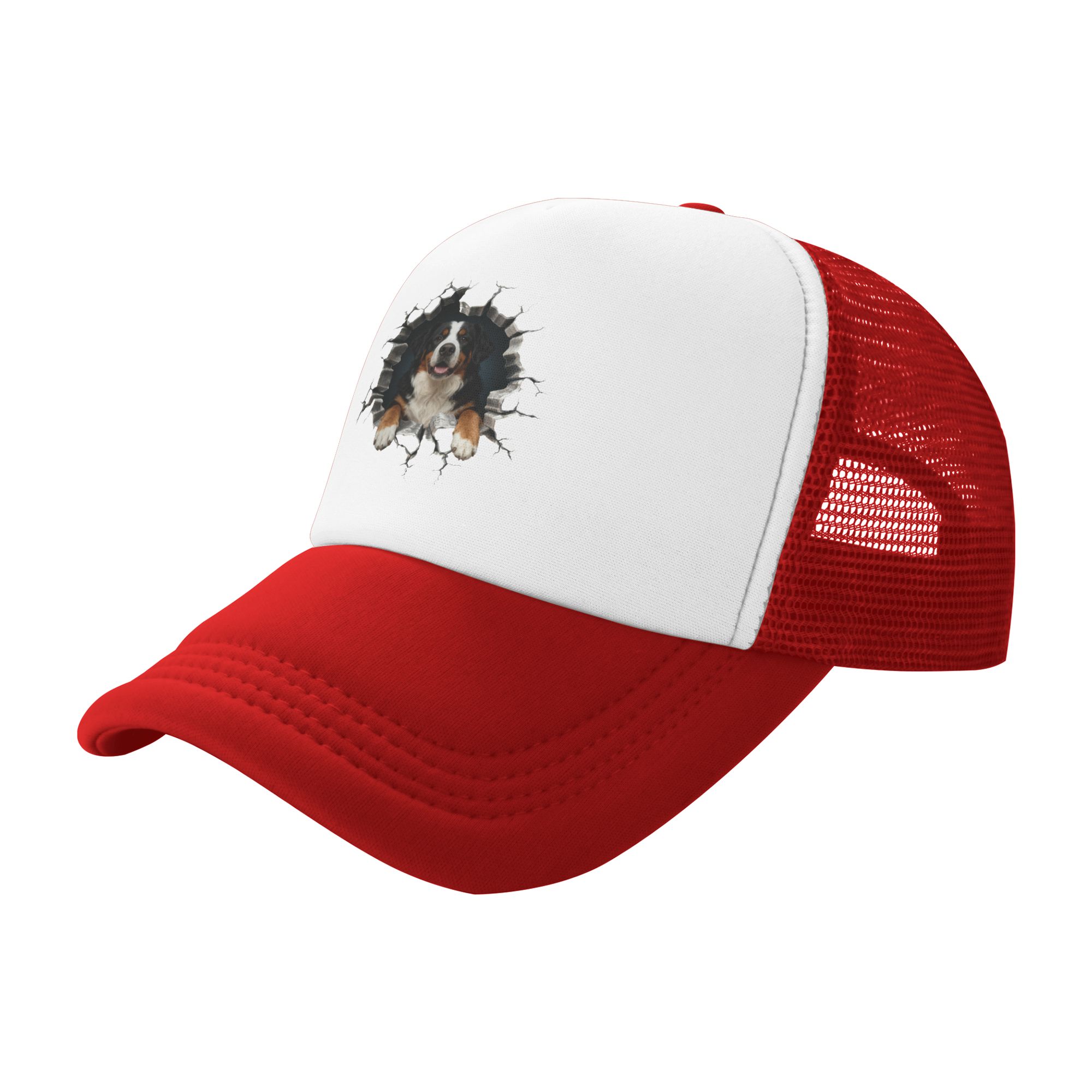 Breaking Through Bernese Mount - Trucker Hat Cap 评论和价格