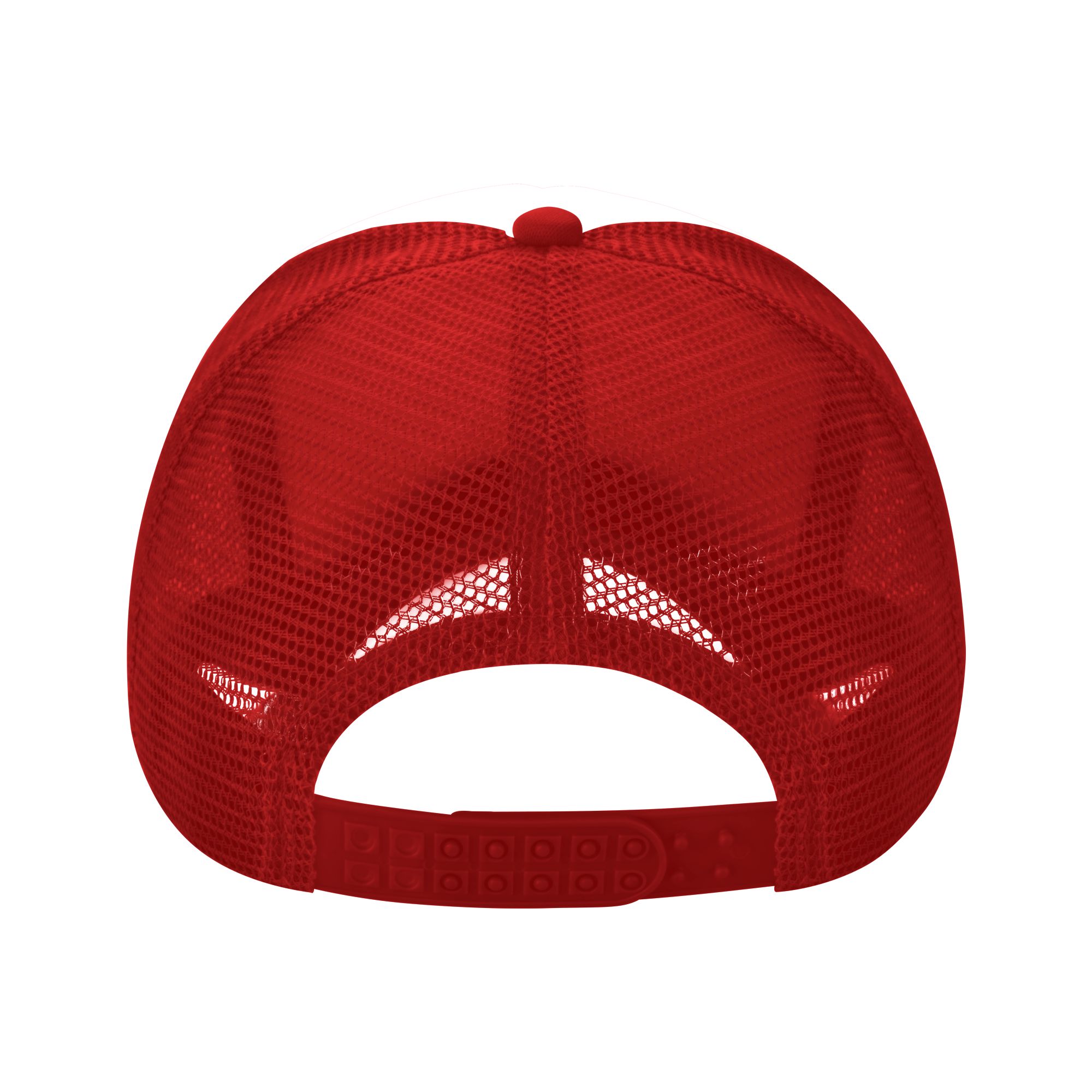 Breaking Through Bernese Mount - Trucker Hat Cap 评论和价格